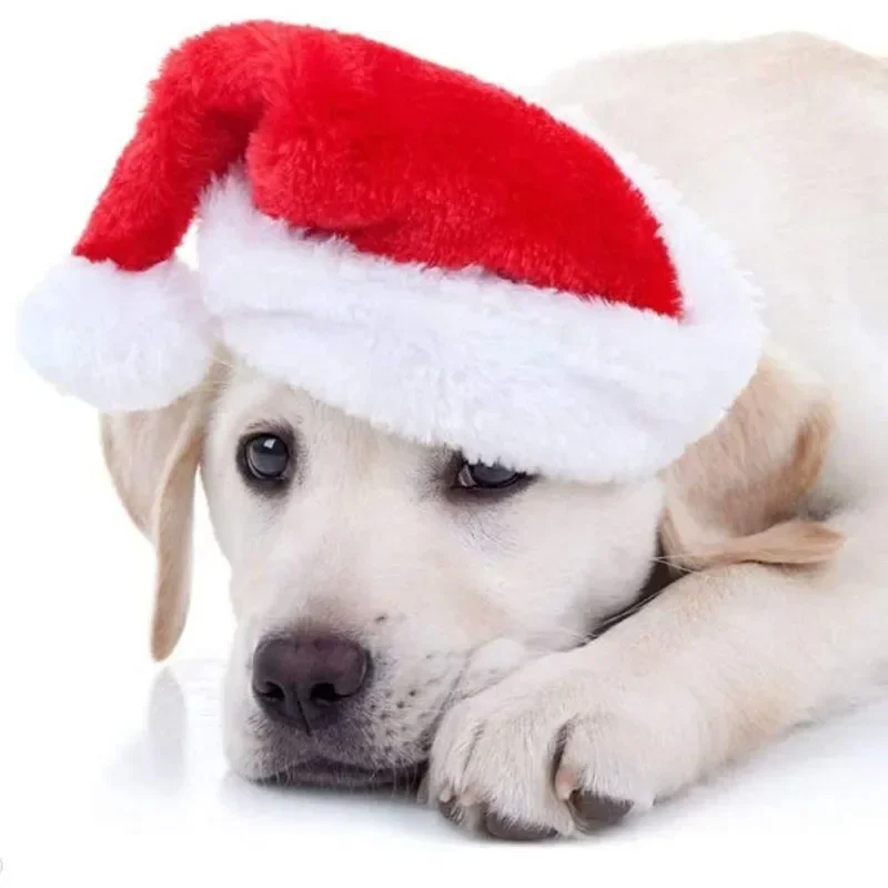 Christmas Pet Santa Hat Red Pl - Santa Hat Plush 评论和价格
