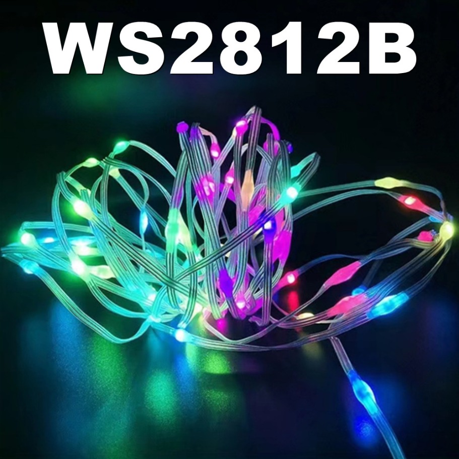 WS2812B LED Light String Smart - Led Fairy String Lights 评论和价格