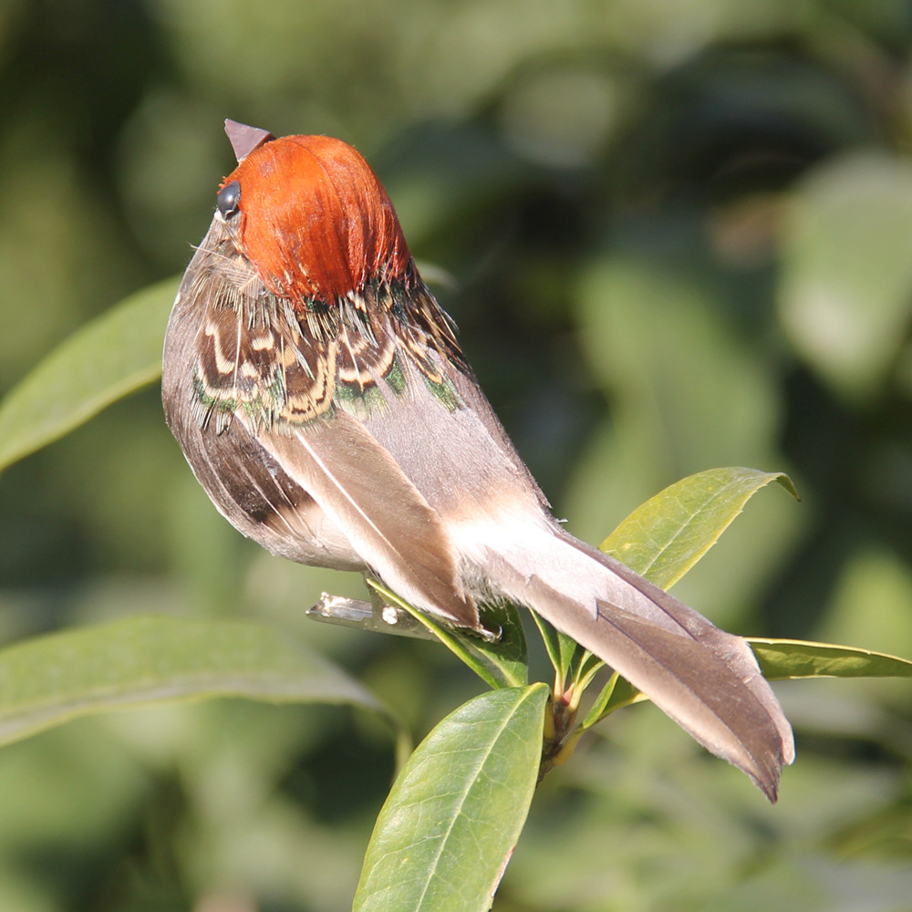 2Pcs Hot Feather Bird Imitatio - Christmas Tree Artificial 评论和价格